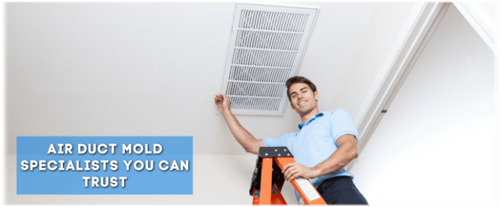 Air Duct Mold Removal in Boynton Beach FL