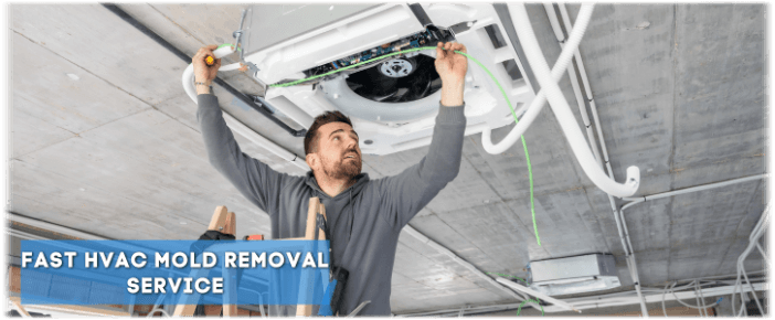 HVAC Mold Removal Boynton Beach FL